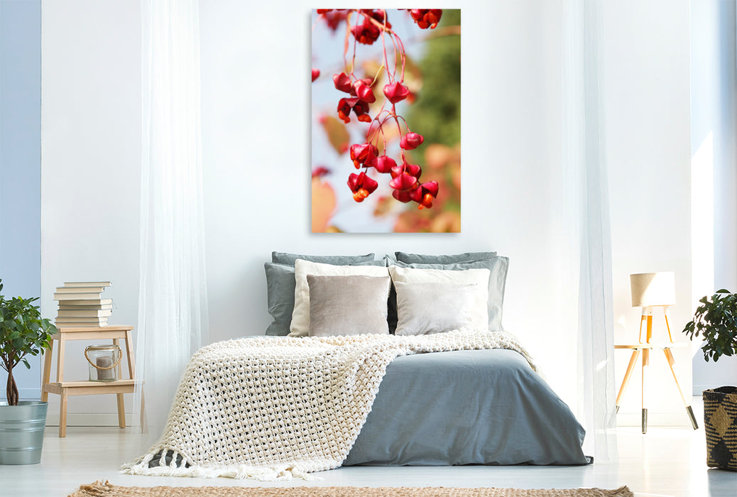 Premium Textil-Leinwand Premium Textil-Leinwand 80 cm x 120 cm  hoch Pfaffenhütchen, Euonymus europaeus