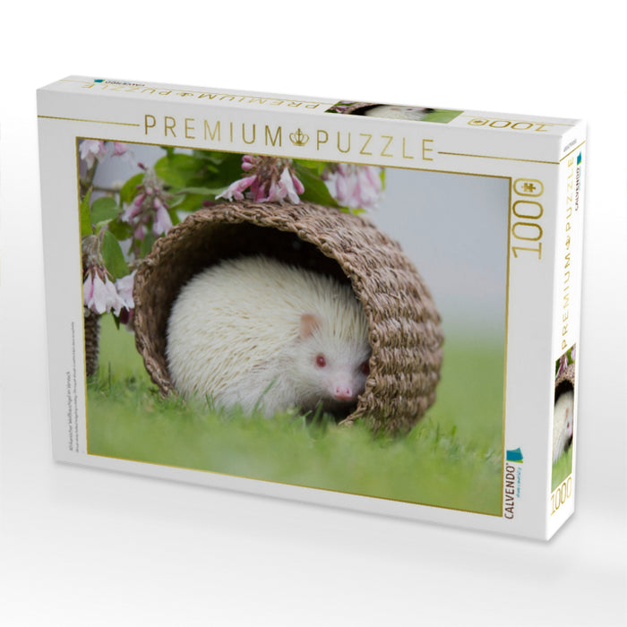 Afrikanischer Weißbauchigel im Versteck - CALVENDO Foto-Puzzle'
