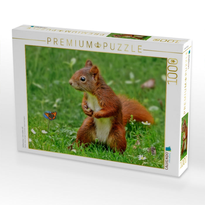 Eichhörnchen - imm wieder süß - CALVENDO Foto-Puzzle'