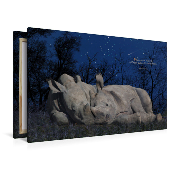 Premium Textil-Leinwand Breitmaul- Nashorn