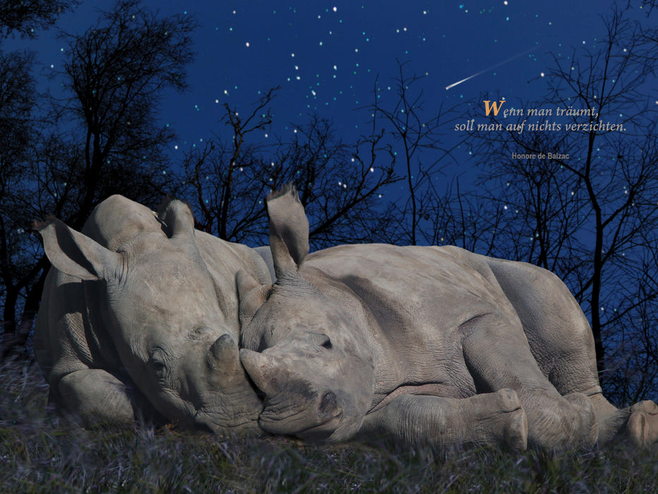 Breitmaul- Nashorn 1000 Teile Puzzle quer - CALVENDO Foto-Puzzle'