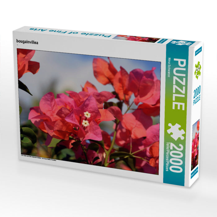 bougainvilliers - Puzzle photo CALVENDO 
