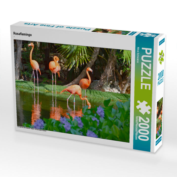 Greater flamingo - CALVENDO photo puzzle 