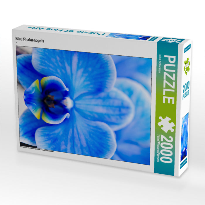 Phalaenopsis bleu - Puzzle photo CALVENDO 
