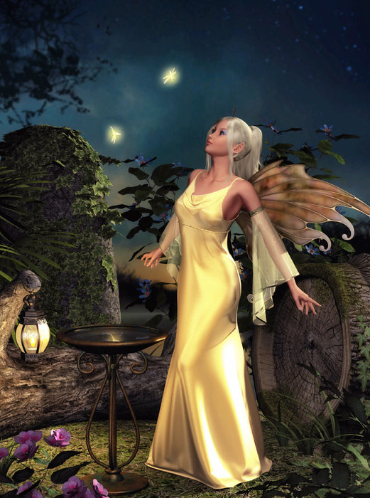 Fireflies - CALVENDO photo puzzle 