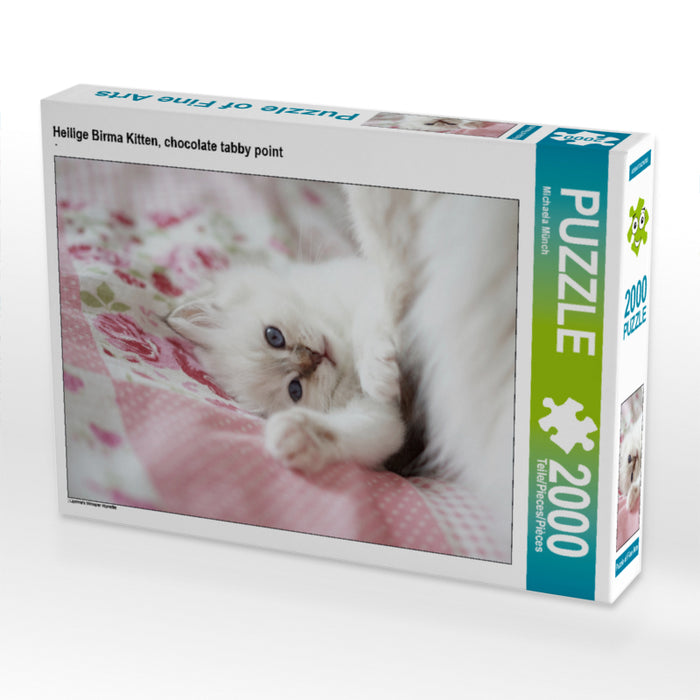 Chaton sacré de Birmanie, pointe tabby chocolat - Puzzle photo CALVENDO 