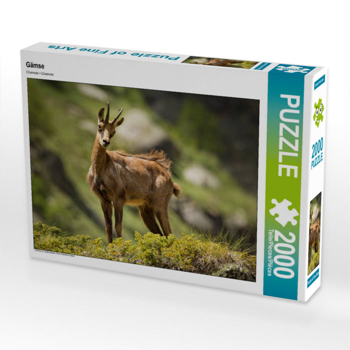Gämse 2000 Teile Puzzle quer - CALVENDO Foto-Puzzle'