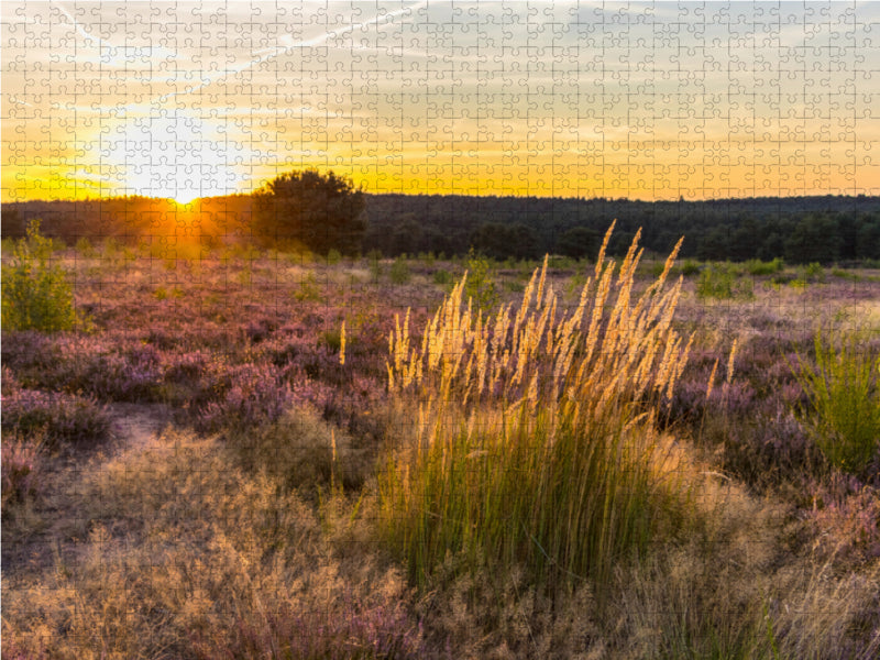 Sonnenuntergang in der Mehlinger Heide 1000 Teile Puzzle quer - CALVENDO Foto-Puzzle'
