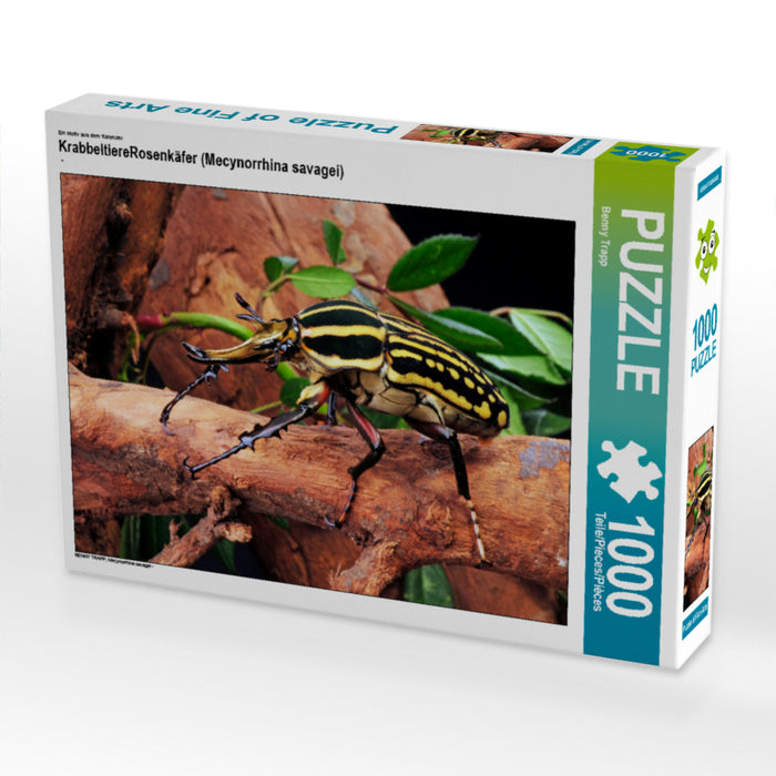 Ein Motiv aus dem Kalender Krabbeltiere
Rosenkäfer (Mecynorrhina savagei) 1000 Teile Puzzle quer - CALVENDO Foto-Puzzle'