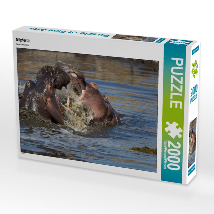 Nilpferde 2000 Teile Puzzle quer - CALVENDO Foto-Puzzle'