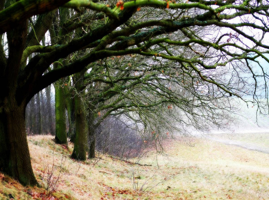 Weyerberg / Worpswede - CALVENDO Foto-Puzzle'