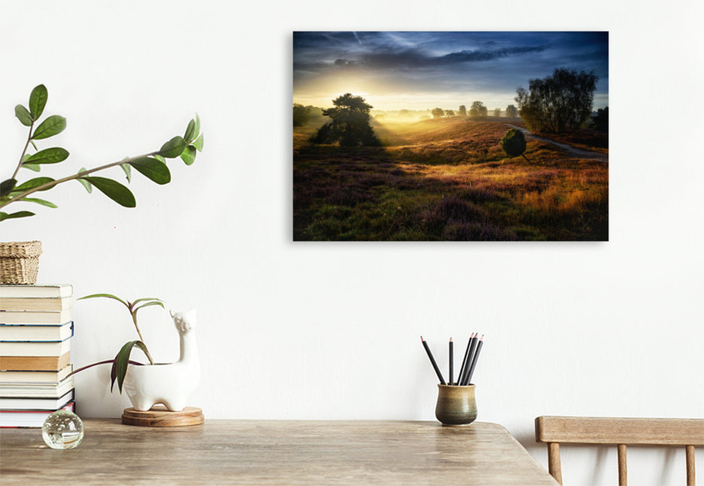 Premium textile canvas Premium textile canvas 120 cm x 80 cm landscape Westrup Heath / Germany 