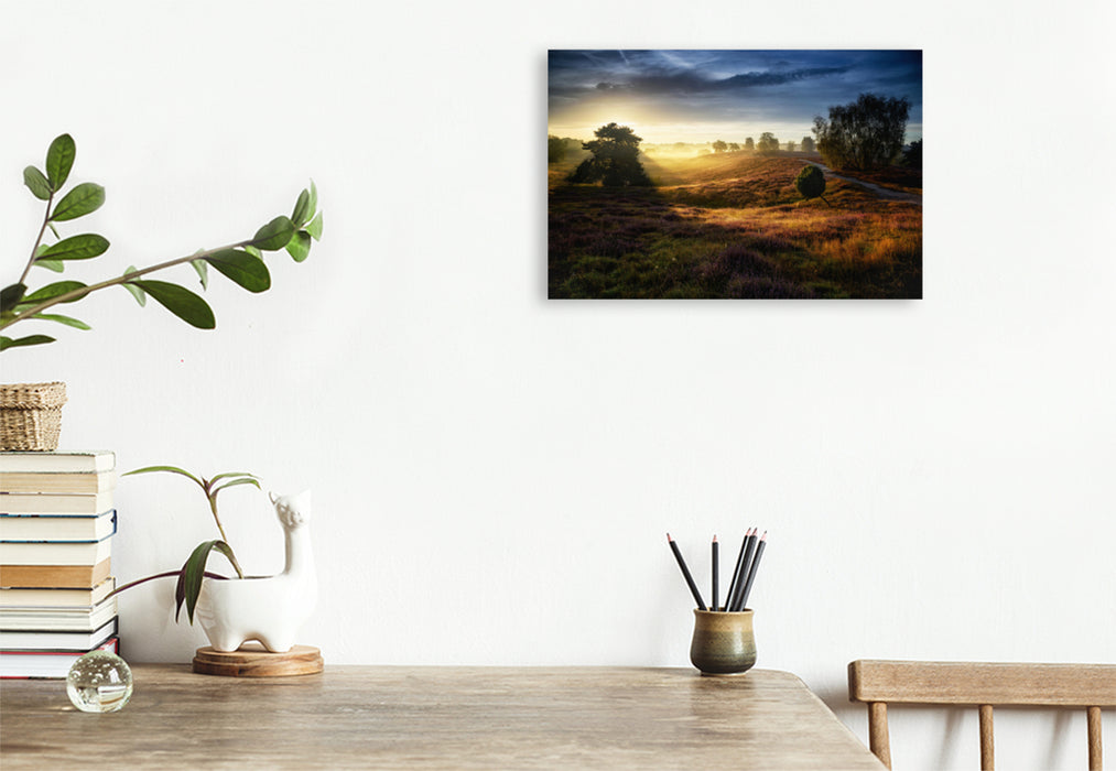 Premium textile canvas Premium textile canvas 120 cm x 80 cm landscape Westrup Heath / Germany 