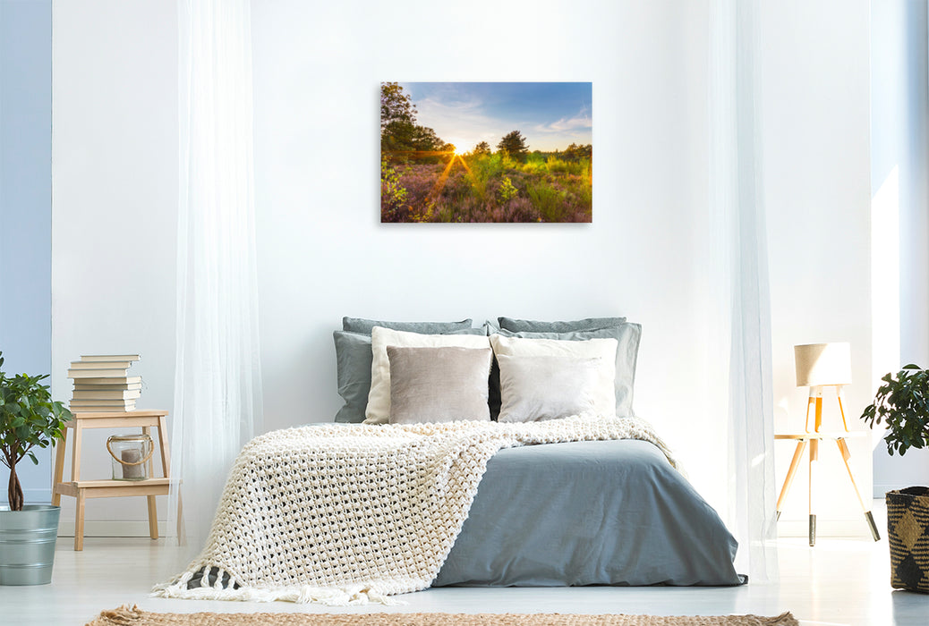 Premium textile canvas Premium textile canvas 120 cm x 80 cm across A motif from the Mehlinger Heide calendar 