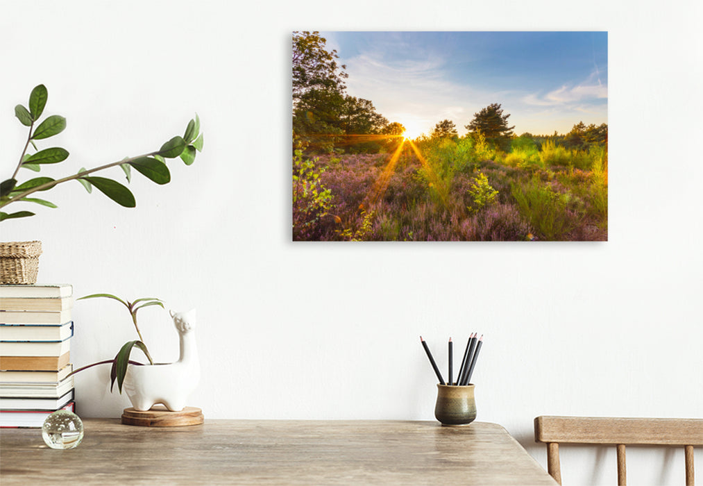 Premium textile canvas Premium textile canvas 120 cm x 80 cm across A motif from the Mehlinger Heide calendar 