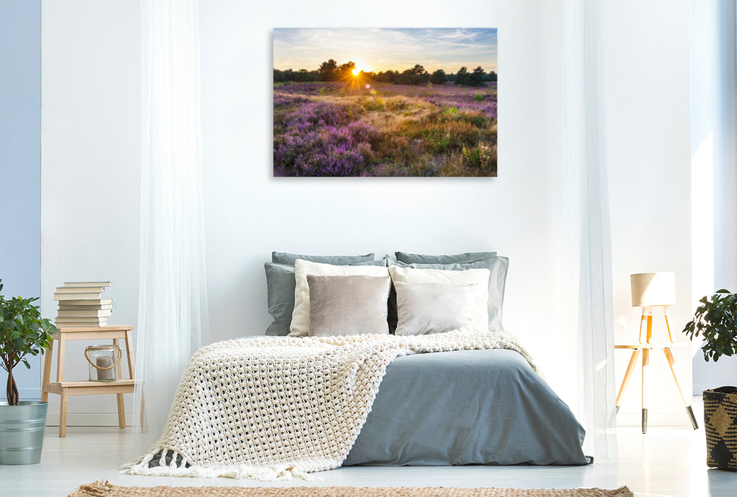 Premium textile canvas Premium textile canvas 120 cm x 80 cm across A motif from the Mehlinger Heide calendar 