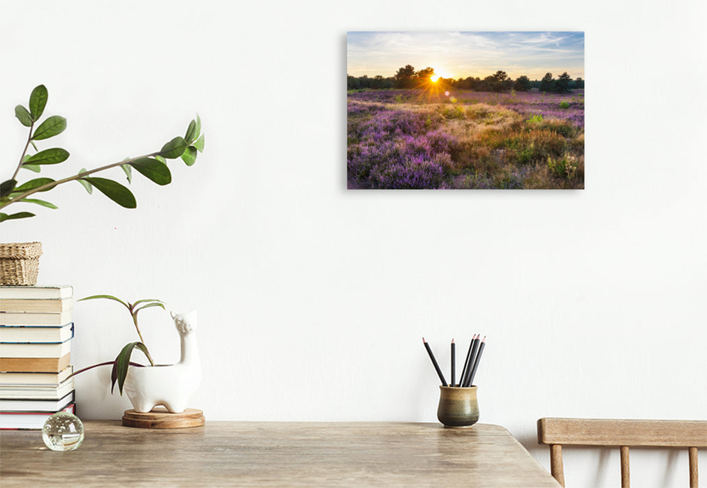 Premium textile canvas Premium textile canvas 120 cm x 80 cm across A motif from the Mehlinger Heide calendar 