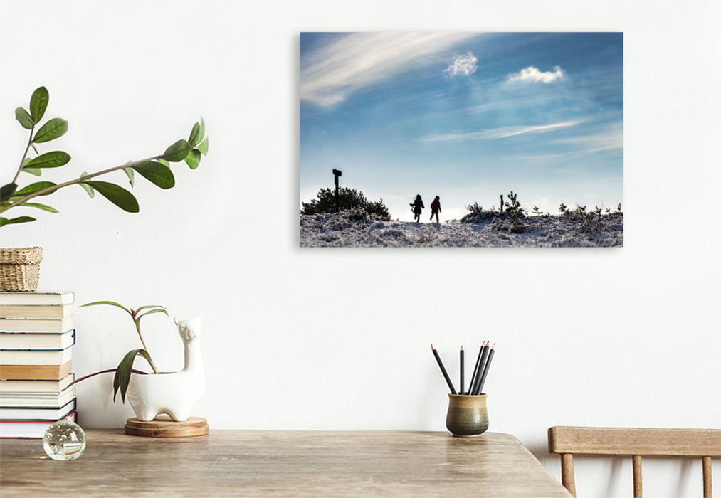 Premium textile canvas Premium textile canvas 120 cm x 80 cm across A motif from the Mehlinger Heide calendar 