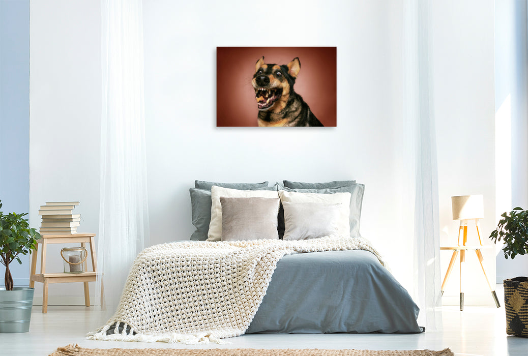 Premium textile canvas Premium textile canvas 120 cm x 80 cm landscape German Shepherd 