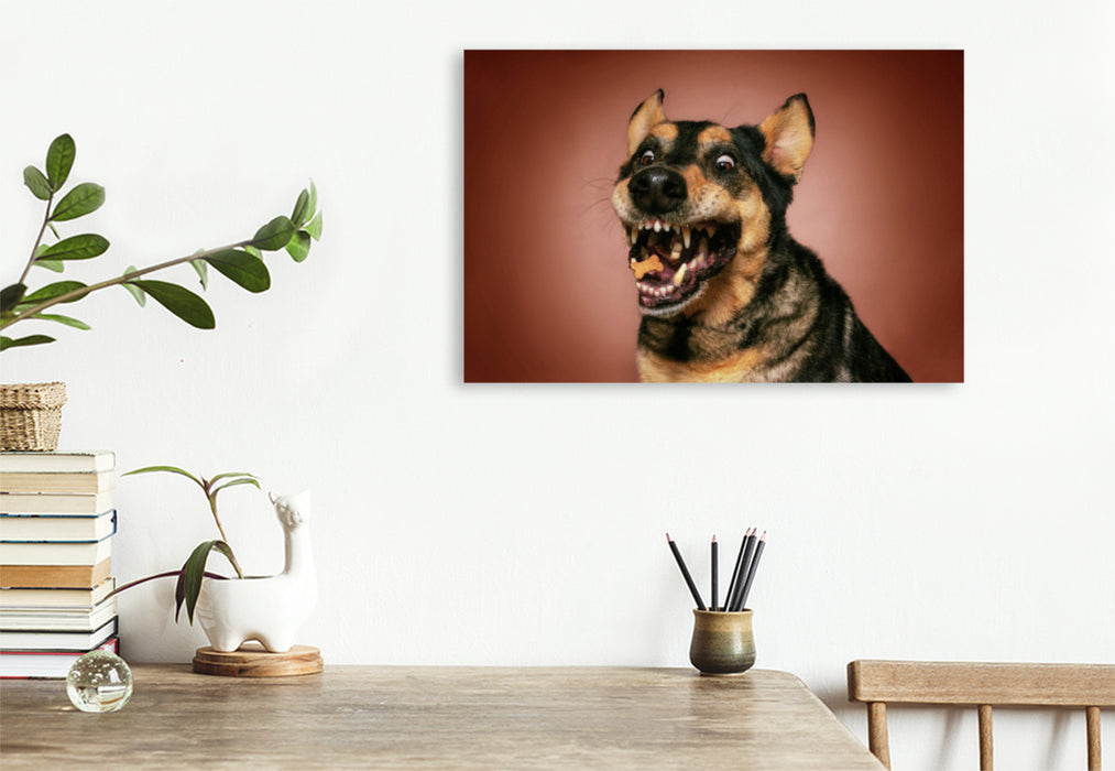 Premium textile canvas Premium textile canvas 120 cm x 80 cm landscape German Shepherd 