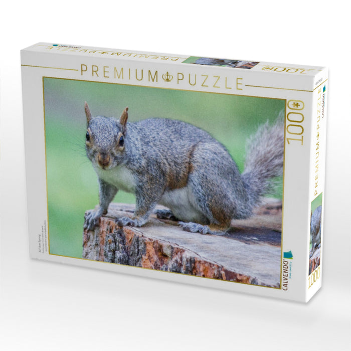 Auf dem Sprung - CALVENDO Foto-Puzzle'