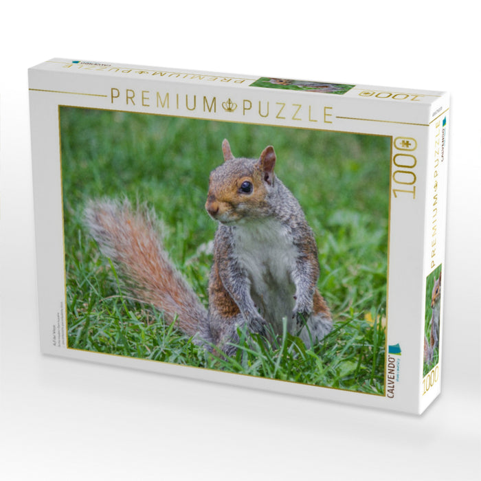 Auf der Wiese - CALVENDO Foto-Puzzle'