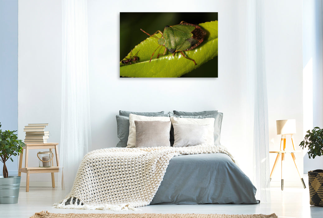 Premium textile canvas Premium textile canvas 120 cm x 80 cm landscape The green stink bug and the ant 