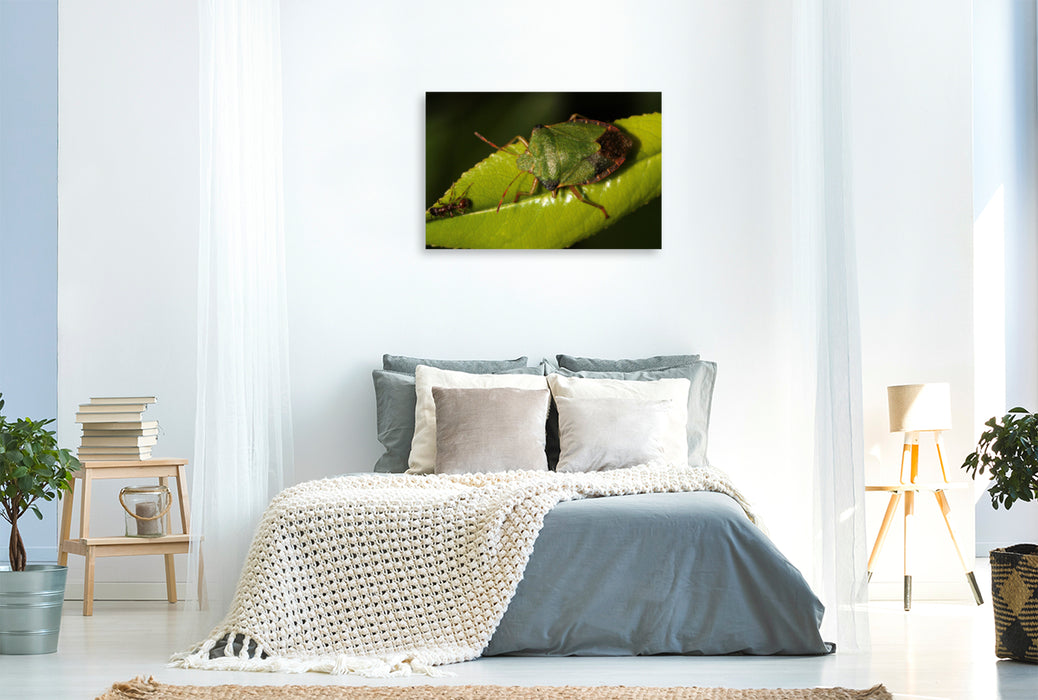 Premium textile canvas Premium textile canvas 120 cm x 80 cm landscape The green stink bug and the ant 