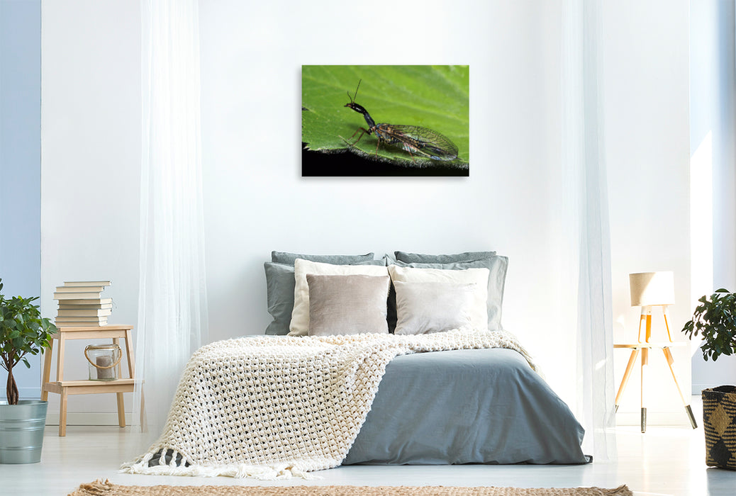Premium textile canvas Premium textile canvas 90 cm x 60 cm landscape The camel neck fly, a beauty of nature 