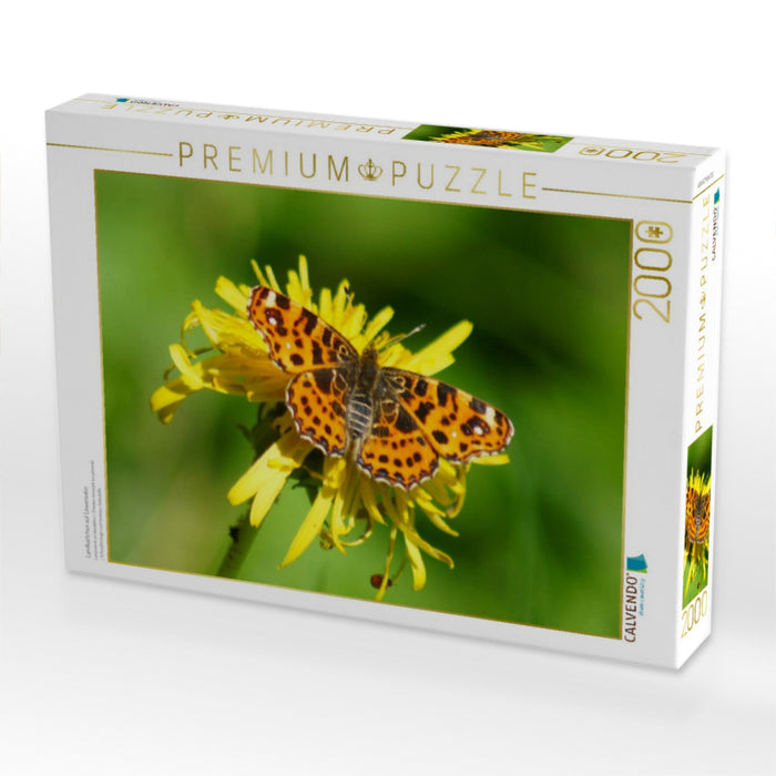 Landkärtchen auf Löwenzahn - CALVENDO Foto-Puzzle'