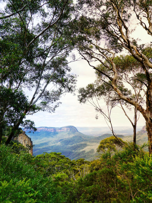 Blue Mountains - CALVENDO photo puzzle 