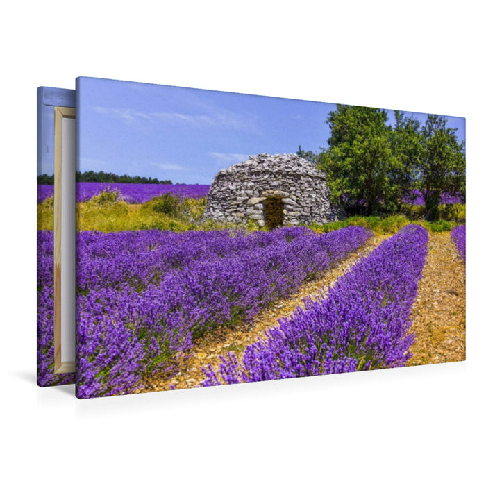 Premium Textil-Leinwand Lavendefeld mit Steinhütte