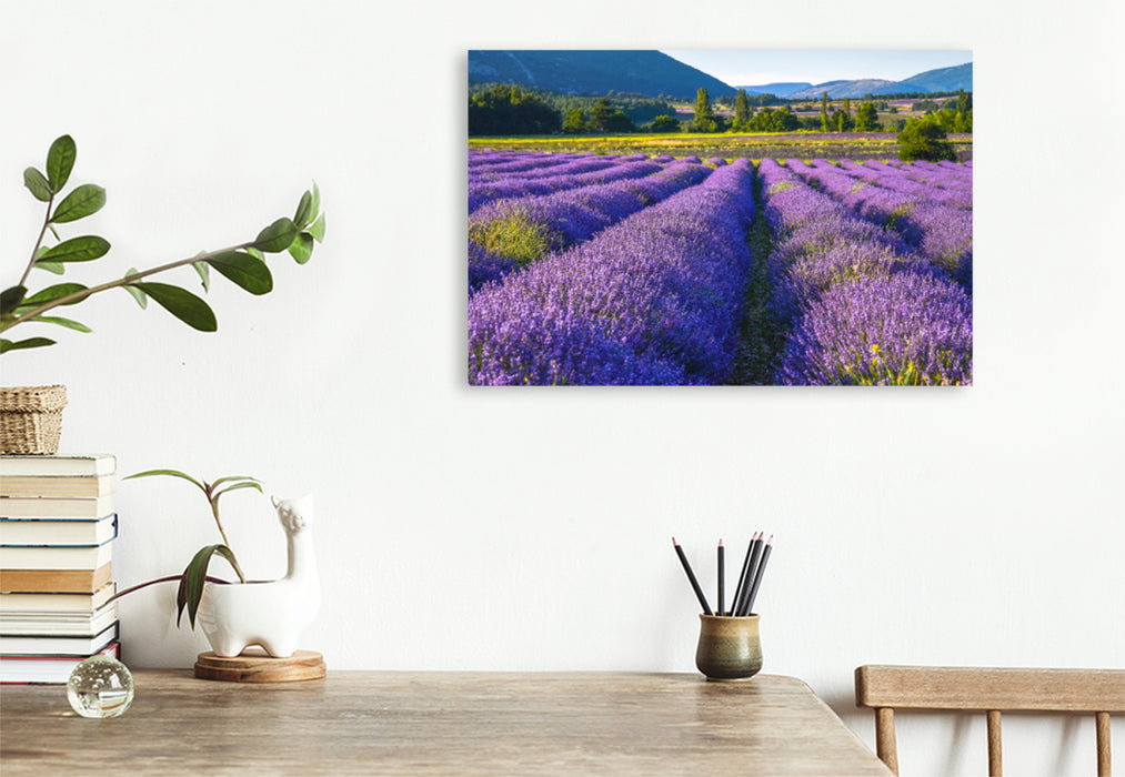 Premium textile canvas Premium textile canvas 120 cm x 80 cm landscape Lavender field in southern France 