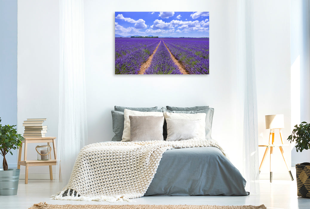 Premium textile canvas Premium textile canvas 120 cm x 80 cm landscape Blooming lavender at Valensole 