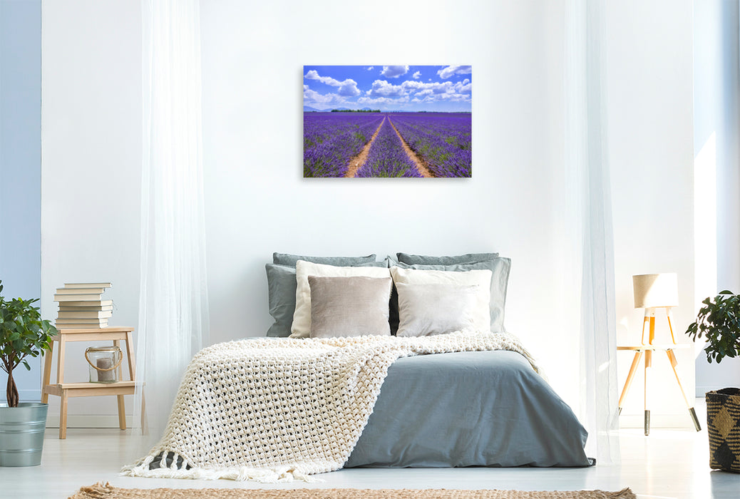 Premium textile canvas Premium textile canvas 120 cm x 80 cm landscape Blooming lavender at Valensole 