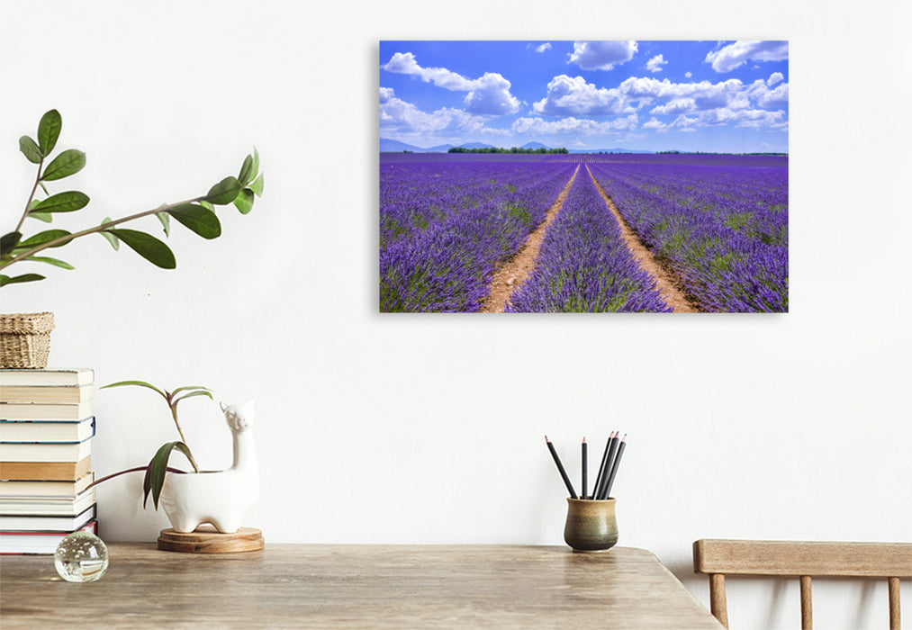Premium textile canvas Premium textile canvas 120 cm x 80 cm landscape Blooming lavender at Valensole 