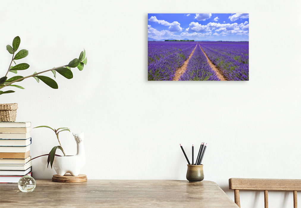 Premium textile canvas Premium textile canvas 120 cm x 80 cm landscape Blooming lavender at Valensole 