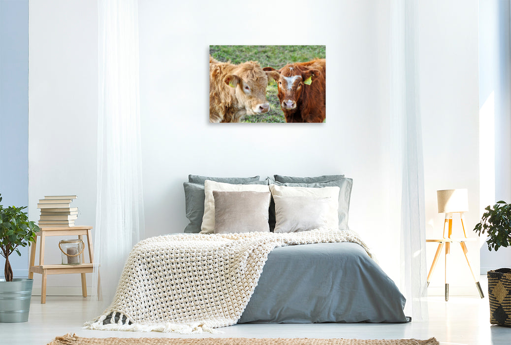 Premium Textil-Leinwand Premium Textil-Leinwand 120 cm x 80 cm quer Ein Motiv aus dem Kalender Rinder auf Eifeler Wiesen
