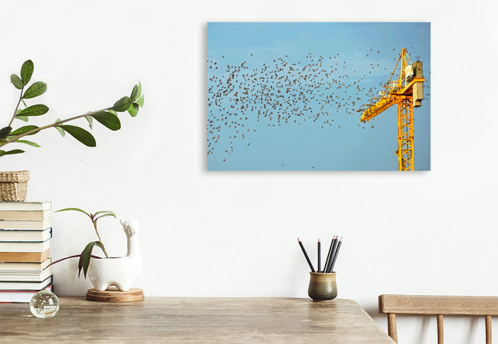 Premium textile canvas Premium textile canvas 120 cm x 80 cm across Cranes - extremely strong workhorses 