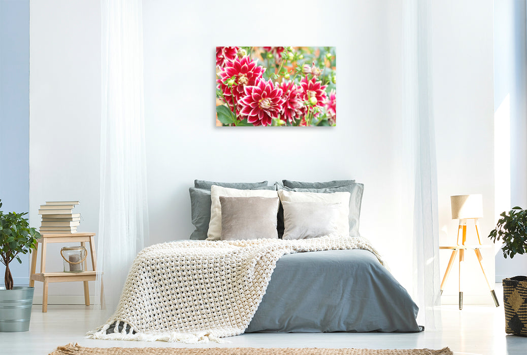 Premium textile canvas Premium textile canvas 120 cm x 80 cm landscape Red and white dahlias 