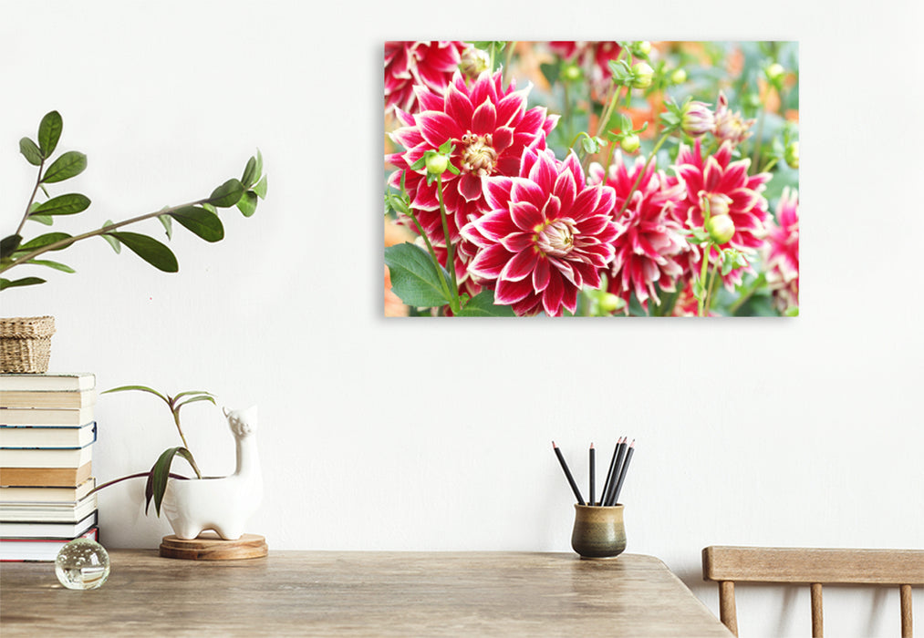 Premium textile canvas Premium textile canvas 120 cm x 80 cm landscape Red and white dahlias 