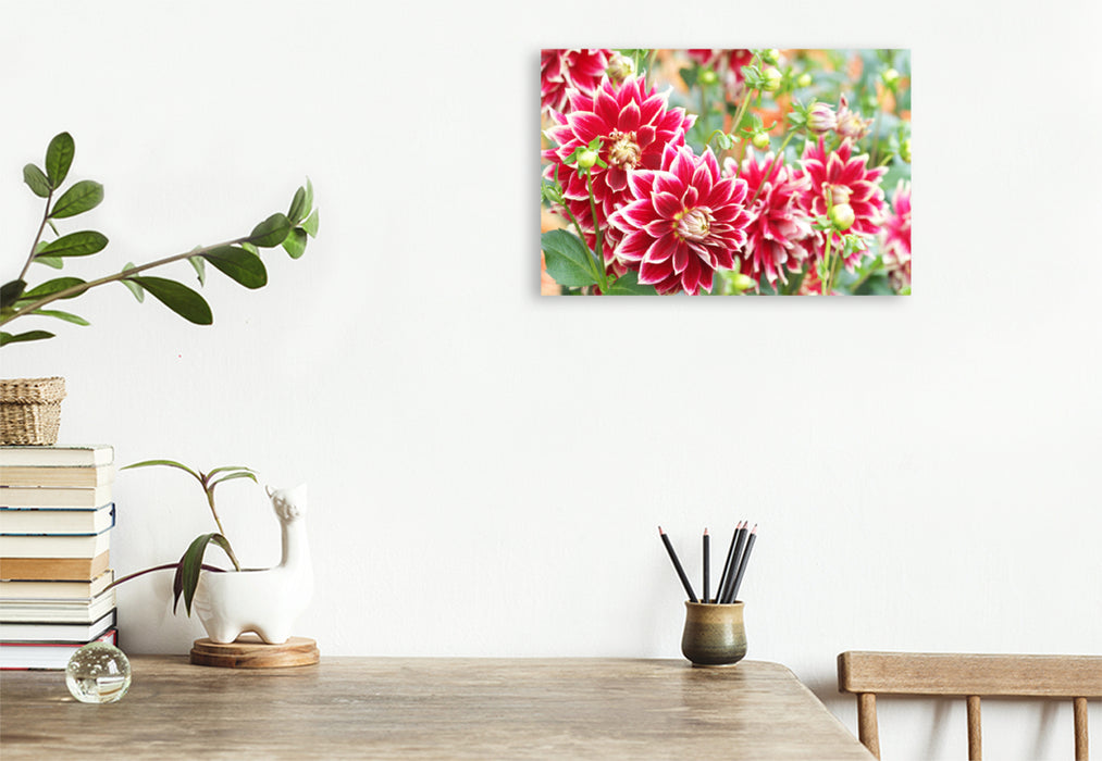 Premium textile canvas Premium textile canvas 120 cm x 80 cm landscape Red and white dahlias 