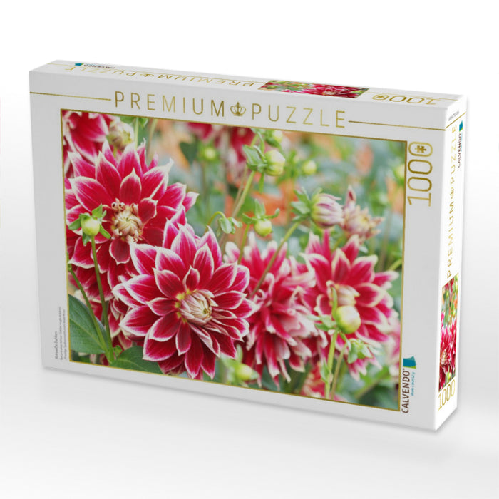 Rotweiße Dahlien - CALVENDO Foto-Puzzle'