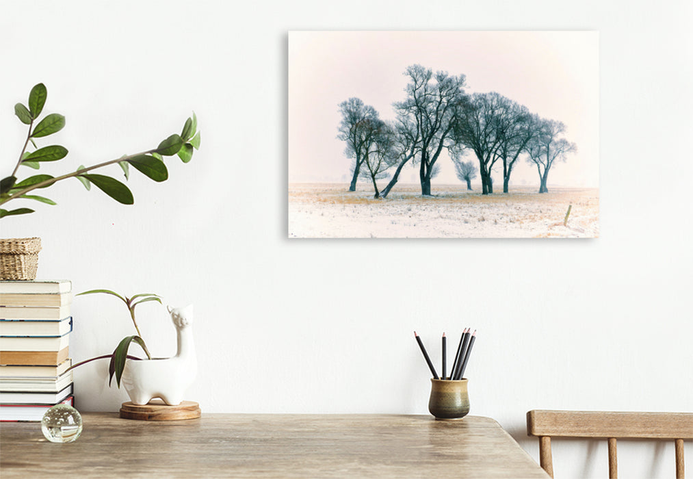 Premium textile canvas Premium textile canvas 120 cm x 80 cm landscape Trees in winter fog, Saxony-Anhalt 