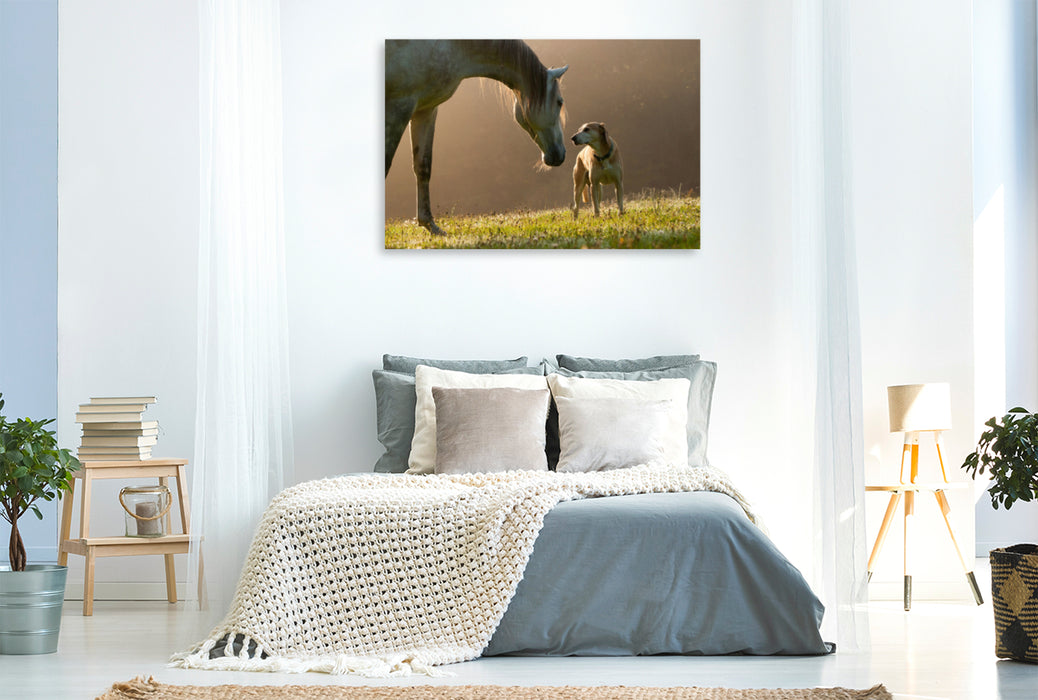 Premium textile canvas Premium textile canvas 120 cm x 80 cm landscape horse and dog in September fog 