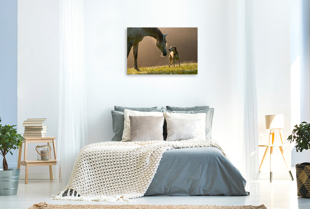 Premium textile canvas Premium textile canvas 120 cm x 80 cm landscape horse and dog in September fog 