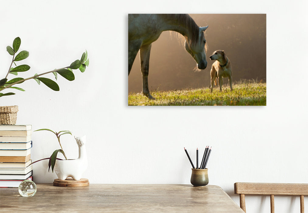 Premium textile canvas Premium textile canvas 120 cm x 80 cm landscape horse and dog in September fog 