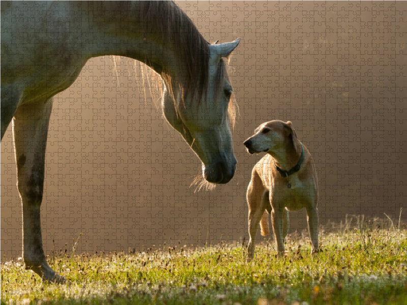 Pferd und Hund im September Nebel 1000 Teile Puzzle quer - CALVENDO Foto-Puzzle'