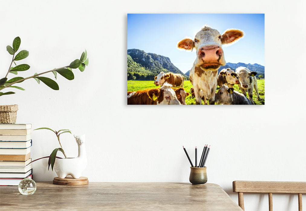 Premium textile canvas Premium textile canvas 120 cm x 80 cm landscape Bavarian cow 