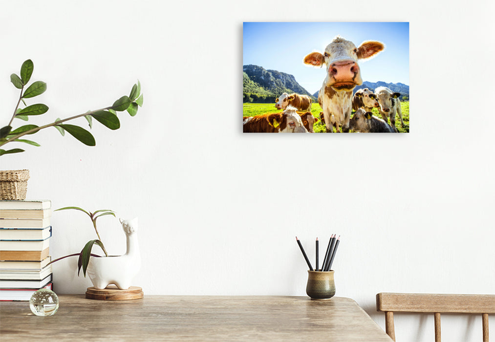 Premium textile canvas Premium textile canvas 120 cm x 80 cm landscape Bavarian cow 